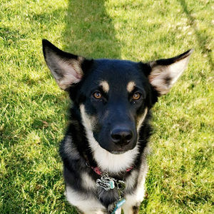 Meet your Posher, Bree